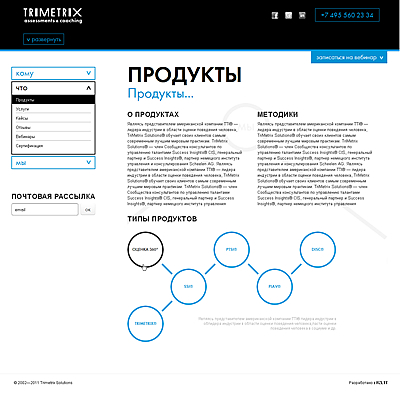 корпоративный сайт "триметрикс"