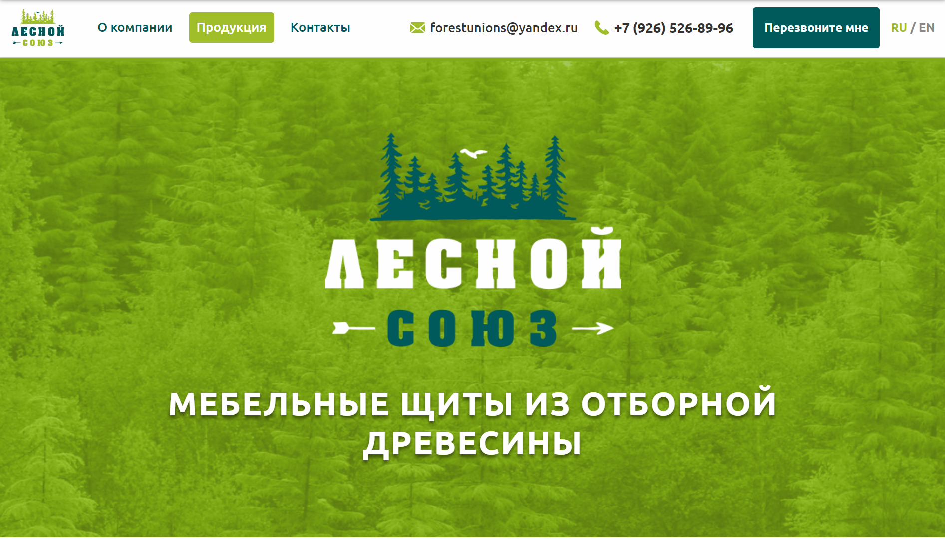 разработка сайта для ооо «лесной союз»