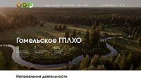 ГПЛХО